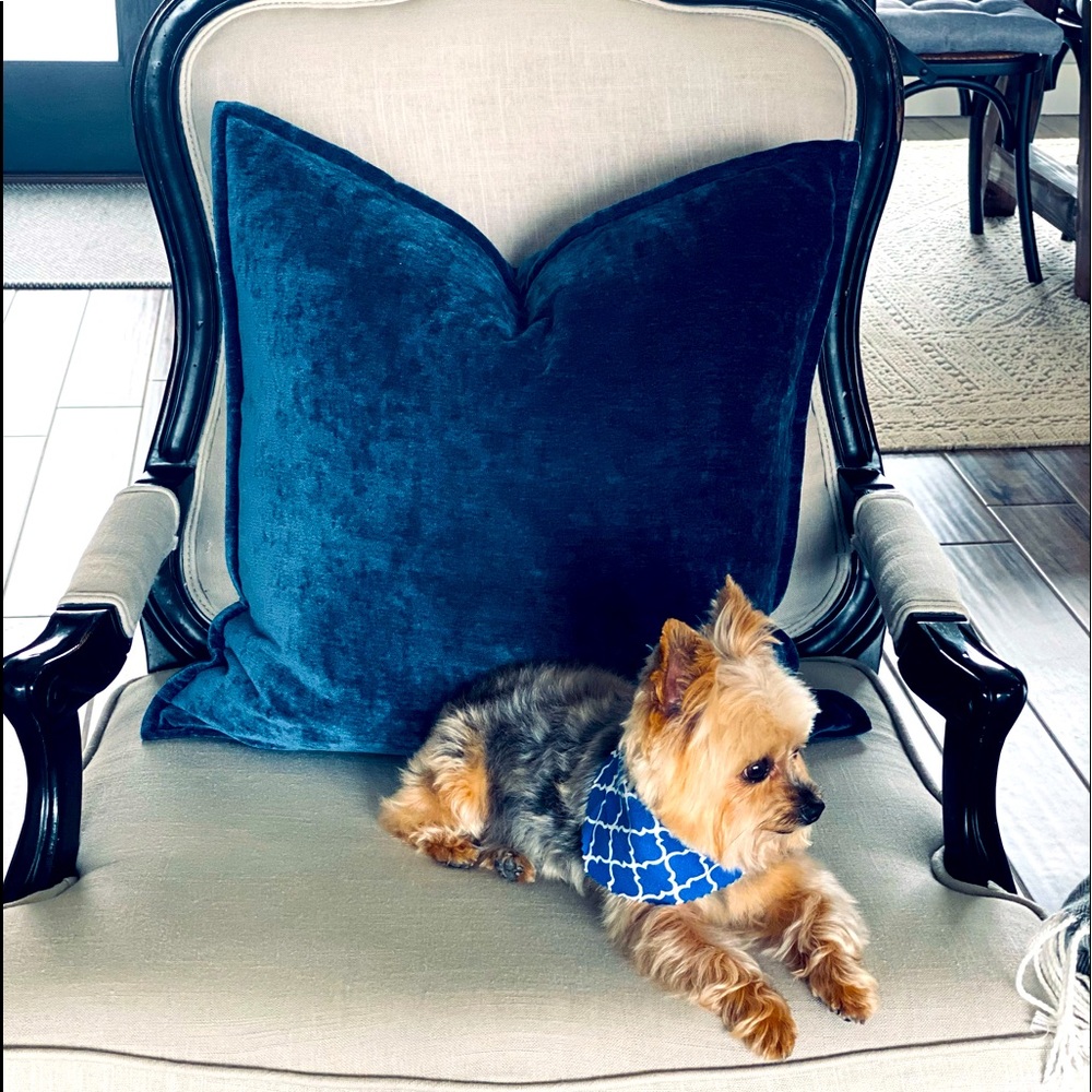 Meet your Posher, Cristina